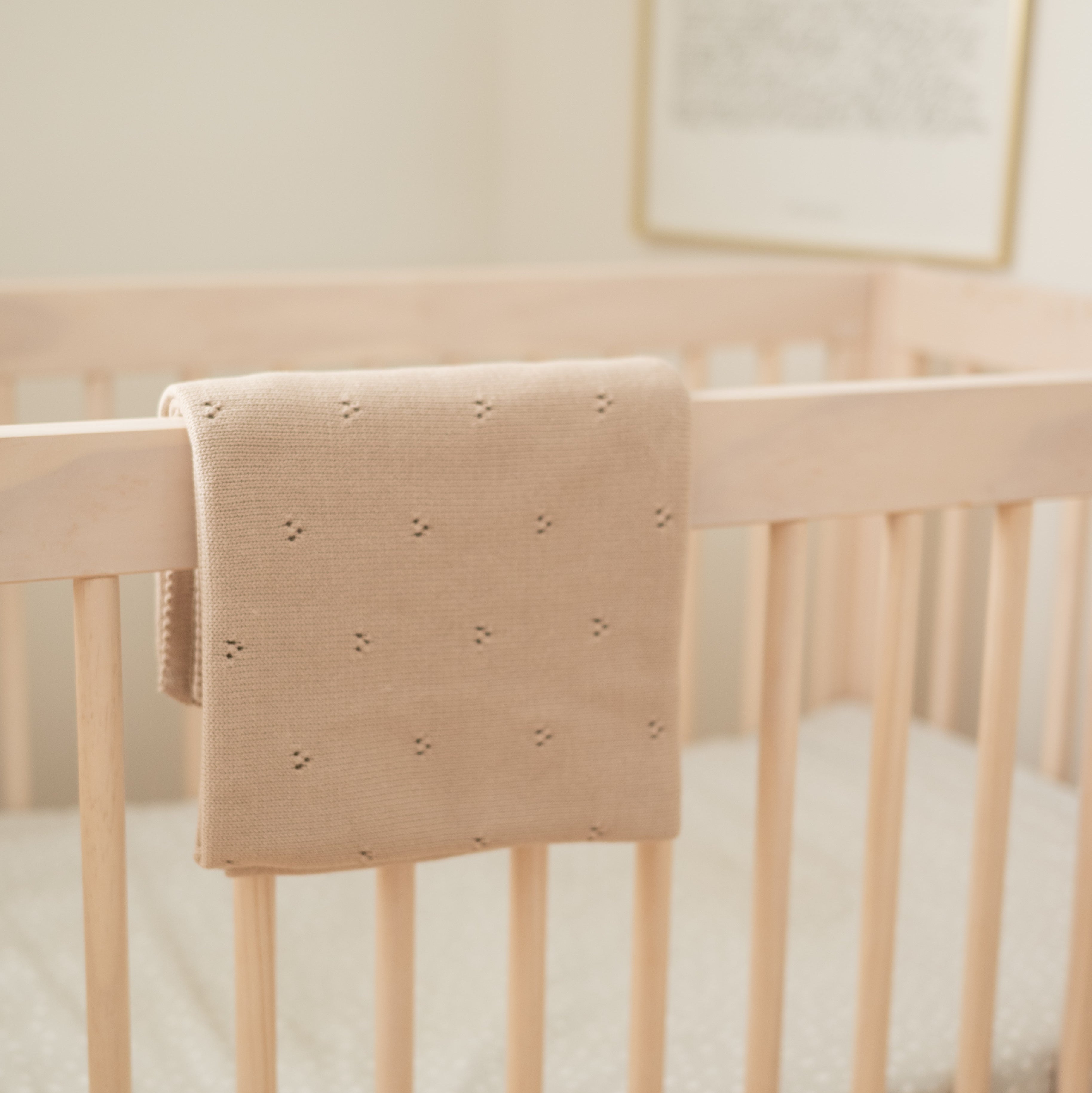 Pointelle Cotton Baby Blanket
