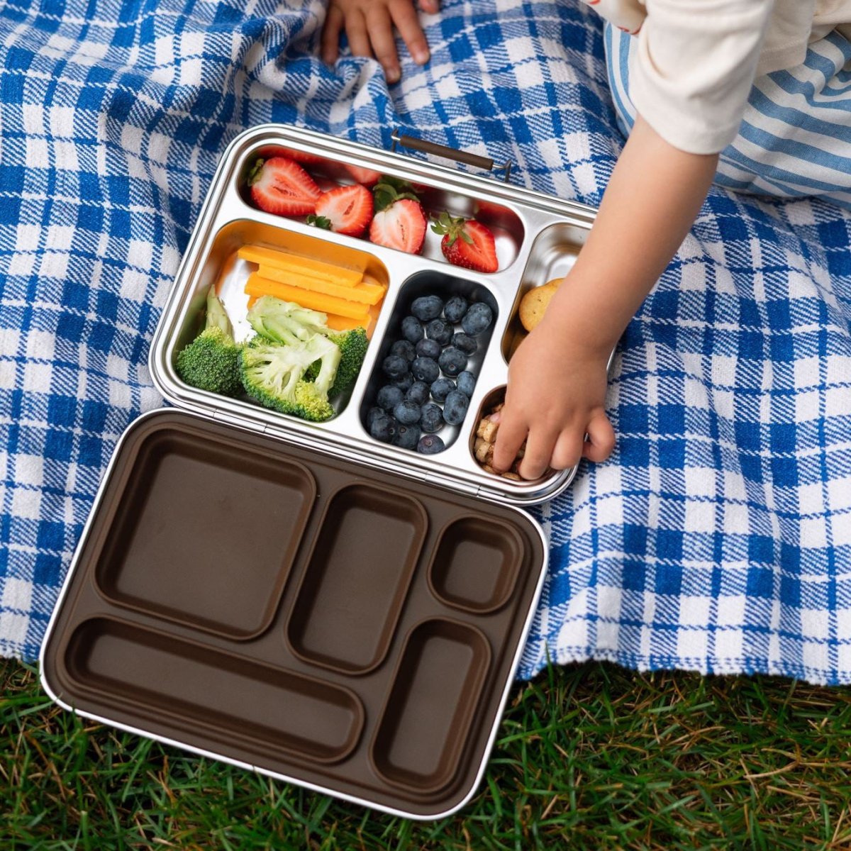 Leakproof 5-Compartment Lunch Box - Roobear Kids
