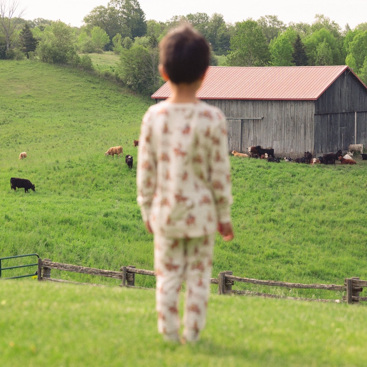 Western Two-Piece Pajamas - Roobear Kids